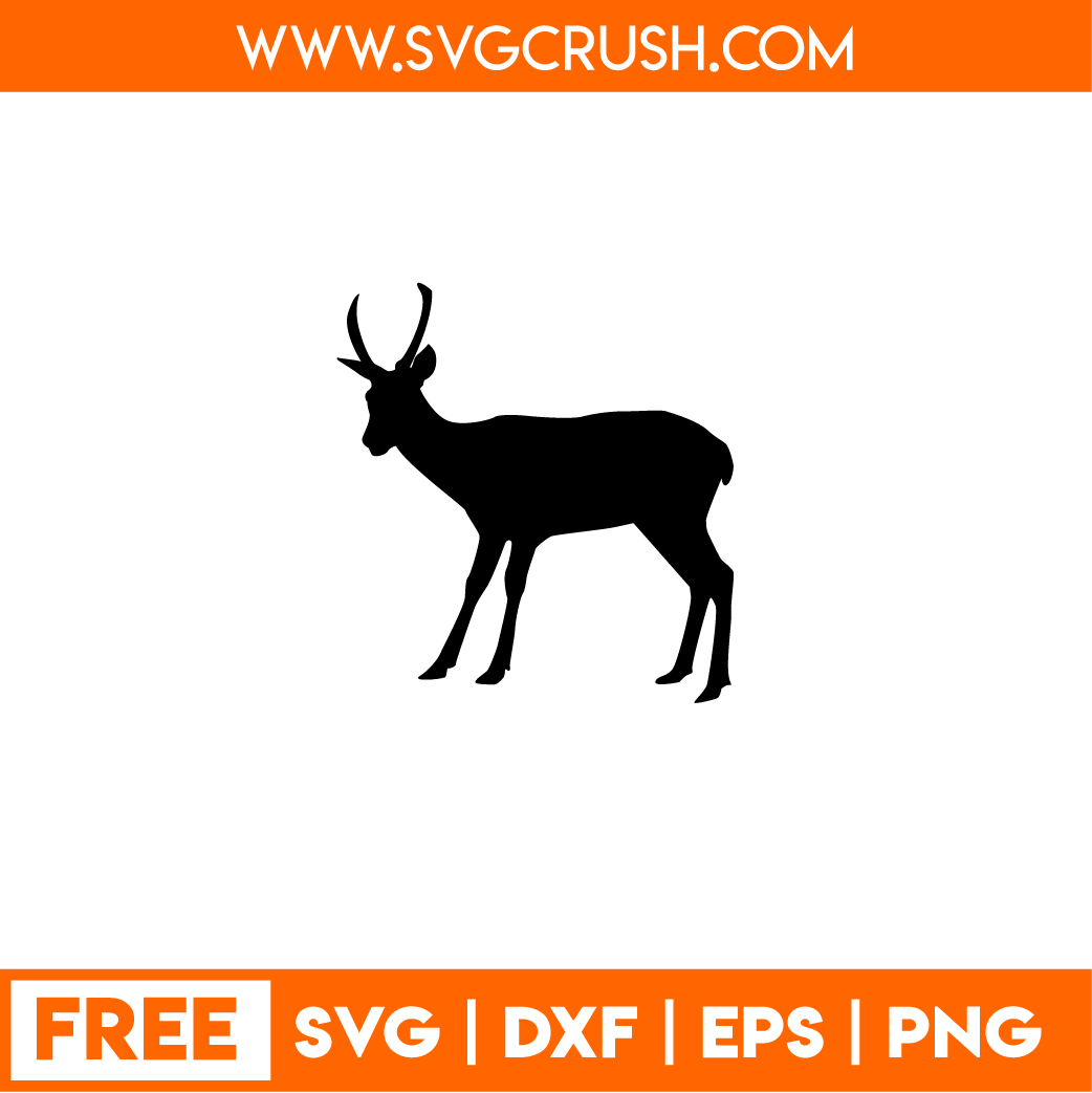 Svgcrush Free Animals Svg