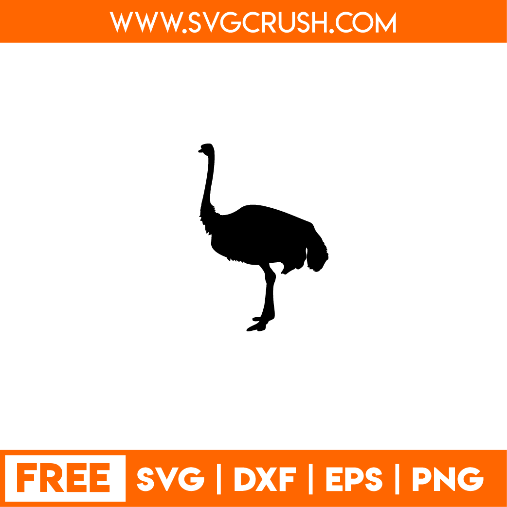free ostrich-001 svg