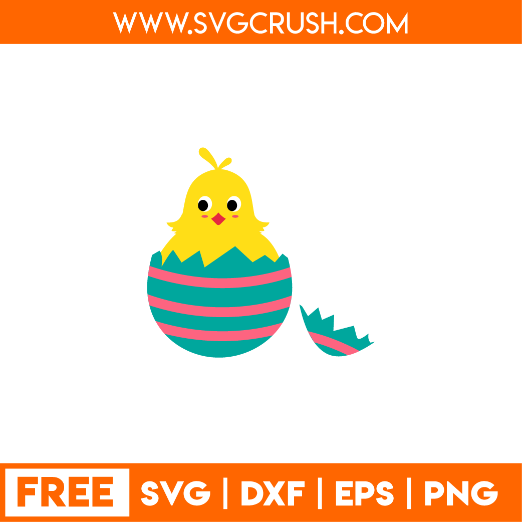 free chick-in-egg-001 svg