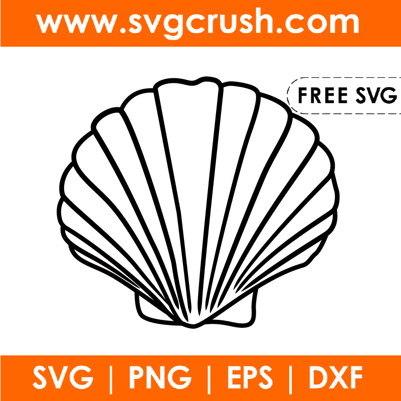 free sea-shell-001 svg